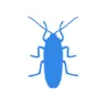 Уничтожение тараканов в Фряново